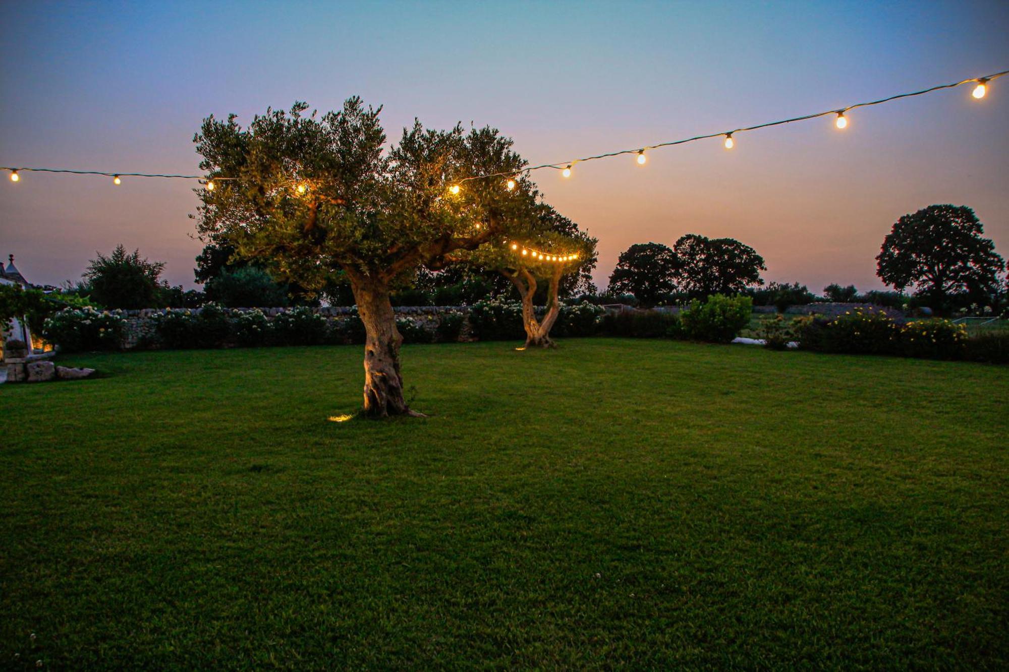 Agrosilente Bed & Breakfast Locorotondo Dış mekan fotoğraf
