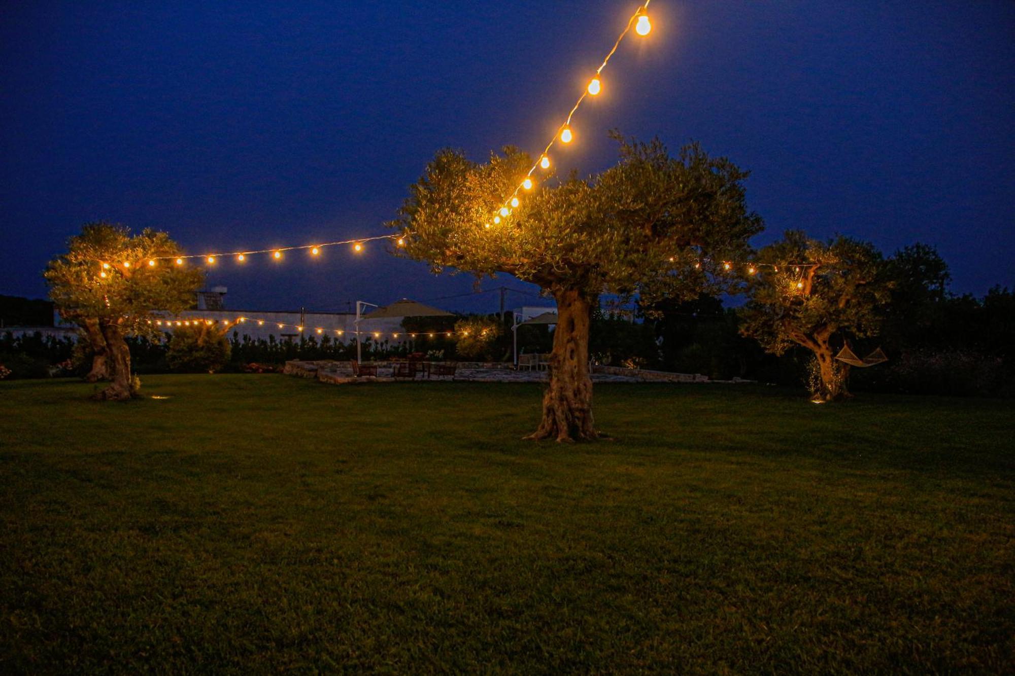 Agrosilente Bed & Breakfast Locorotondo Dış mekan fotoğraf