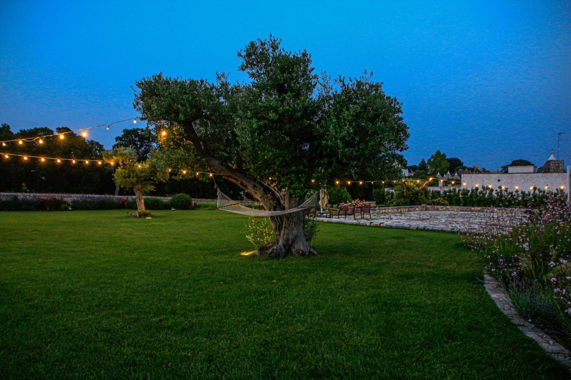 Agrosilente Bed & Breakfast Locorotondo Dış mekan fotoğraf